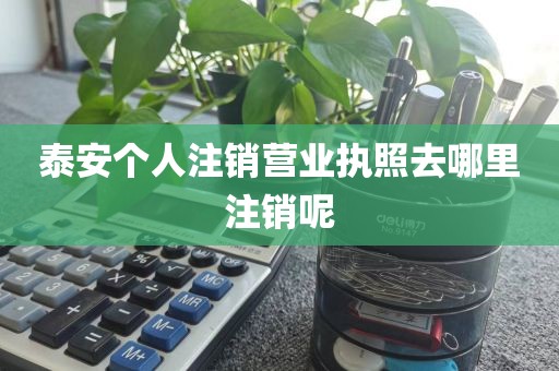 泰安个人注销营业执照去哪里注销呢
