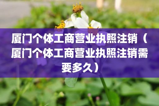 厦门个体工商营业执照注销(厦门个体工商营业执照注销需要多久)