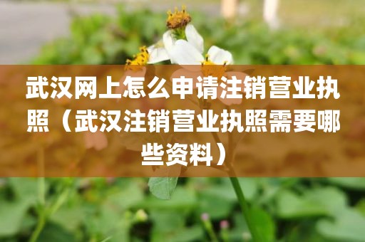 武汉网上怎么申请注销营业执照（武汉注销营业执照需要哪些资料）