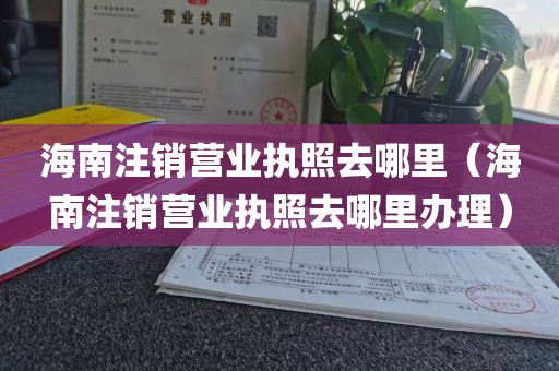 海南注销营业执照去哪里(海南注销营业执照去哪里办理)