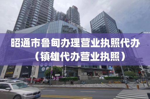 昭通市鲁甸办理营业执照代办（镇雄代办营业执照）
