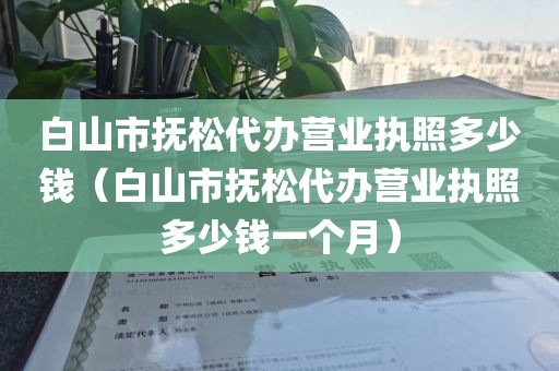 白山市抚松代办营业执照多少钱（白山市抚松代办营业执照多少钱一个月）