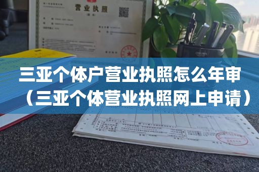 三亚个体户营业执照怎么年审（三亚个体营业执照网上申请）