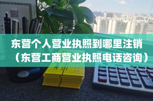东营个人营业执照到哪里注销（东营工商营业执照电话咨询）
