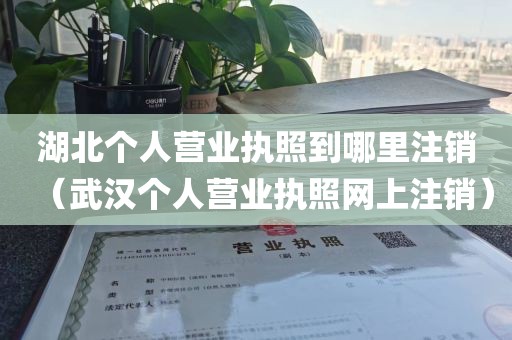 湖北个人营业执照到哪里注销（武汉个人营业执照网上注销）