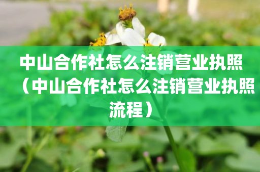中山合作社怎么注销营业执照（中山合作社怎么注销营业执照流程）