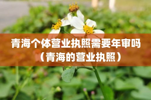 青海个体营业执照需要年审吗（青海的营业执照）