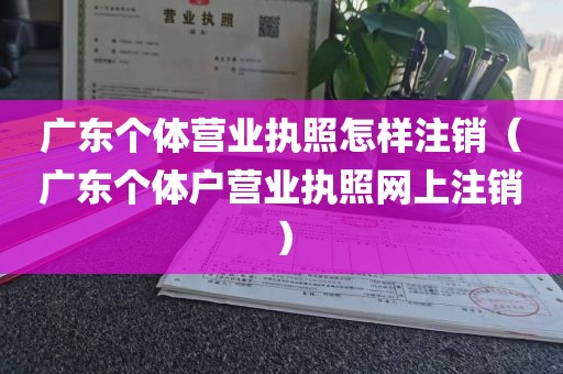 广东个体营业执照怎样注销（广东个体户营业执照网上注销）
