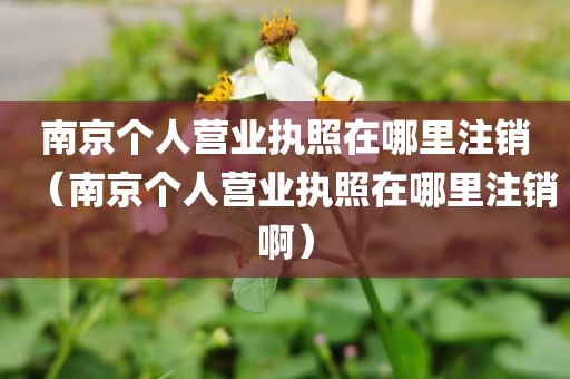 南京个人营业执照在哪里注销（南京个人营业执照在哪里注销啊）