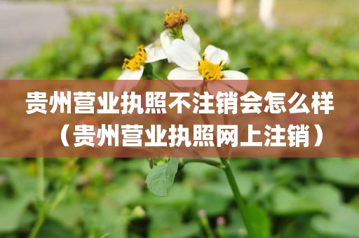 贵州营业执照不注销会怎么样（贵州营业执照网上注销）