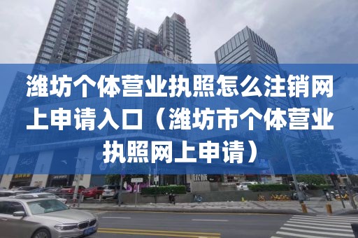 潍坊个体营业执照怎么注销网上申请入口（潍坊市个体营业执照网上申请）