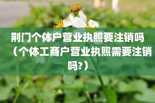 荆门个体户营业执照要注销吗（个体工商户营业执照需要注销吗?）