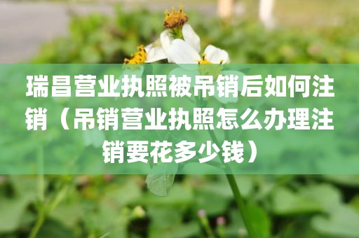 瑞昌营业执照被吊销后如何注销（吊销营业执照怎么办理注销要花多少钱）