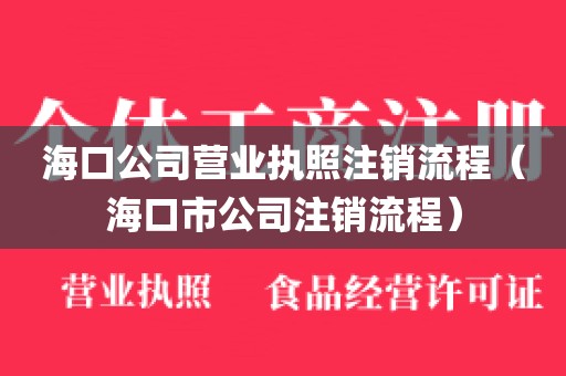 海口公司营业执照注销流程(海口市公司注销流程)