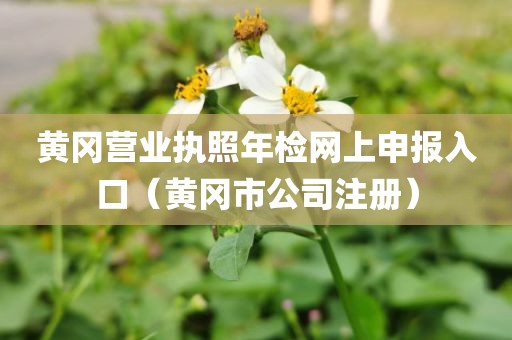 黄冈营业执照年检网上申报入口（黄冈市公司注册）
