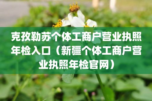 克孜勒苏个体工商户营业执照年检入口（新疆个体工商户营业执照年检官网）