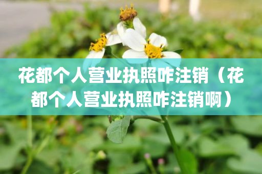 花都个人营业执照咋注销（花都个人营业执照咋注销啊）