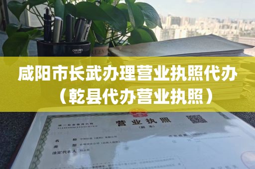 咸阳市长武办理营业执照代办（乾县代办营业执照）