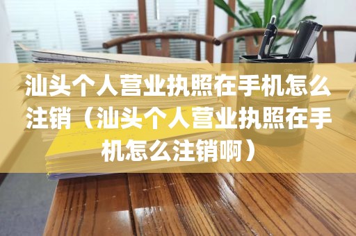 汕头个人营业执照在手机怎么注销（汕头个人营业执照在手机怎么注销啊）