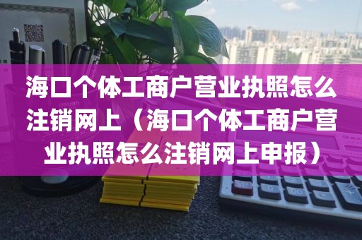 海口个体工商户营业执照怎么注销网上（海口个体工商户营业执照怎么注销网上申报）