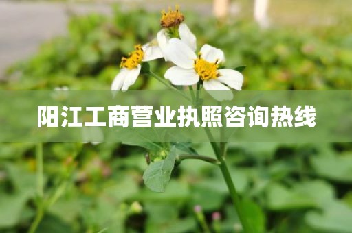 阳江工商营业执照咨询热线