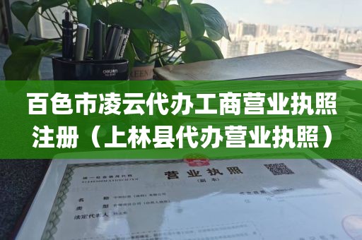 百色市凌云代办工商营业执照注册（上林县代办营业执照）