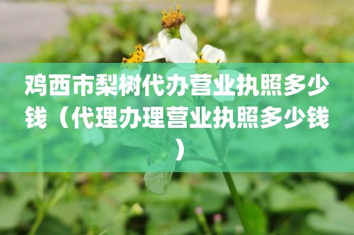 鸡西市梨树代办营业执照多少钱（代理办理营业执照多少钱）