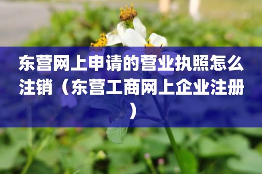 东营网上申请的营业执照怎么注销（东营工商网上企业注册）