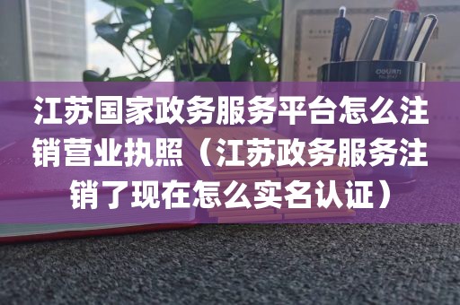 江苏国家政务服务平台怎么注销营业执照（江苏政务服务注销了现在怎么实名认证）