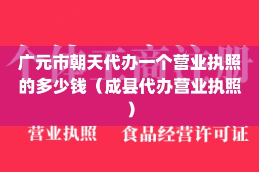 广元市朝天代办一个营业执照的多少钱（成县代办营业执照）