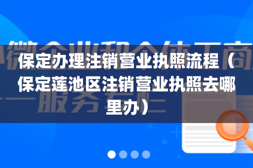 保定办理注销营业执照流程（保定莲池区注销营业执照去哪里办）