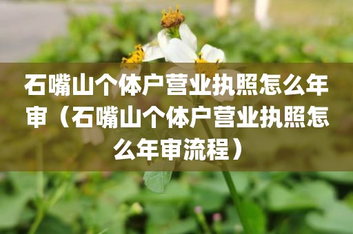 石嘴山个体户营业执照怎么年审（石嘴山个体户营业执照怎么年审流程）
