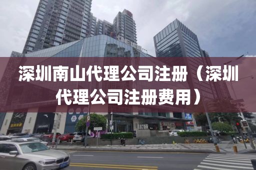 深圳南山代理公司注册（深圳代理公司注册费用）