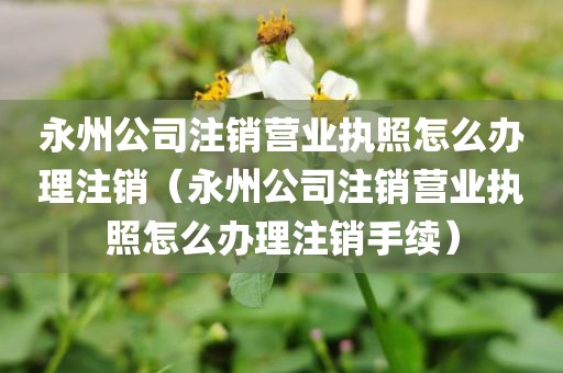 永州公司注销营业执照怎么办理注销（永州公司注销营业执照怎么办理注销手续）