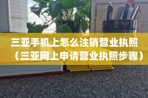 三亚手机上怎么注销营业执照(三亚网上申请营业执照步骤)