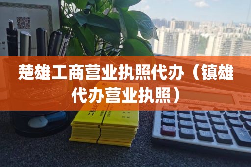 楚雄工商营业执照代办（镇雄代办营业执照）