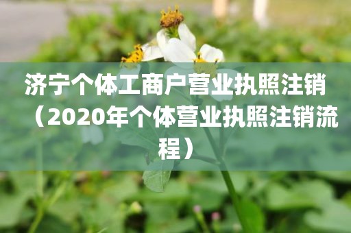 济宁个体工商户营业执照注销（2020年个体营业执照注销流程）