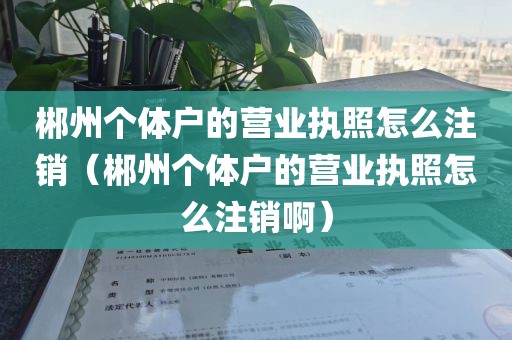 郴州个体户的营业执照怎么注销（郴州个体户的营业执照怎么注销啊）