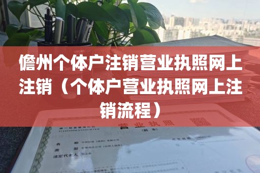 儋州个体户注销营业执照网上注销（个体户营业执照网上注销流程）