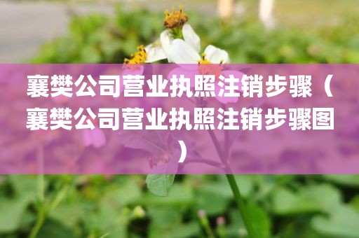 襄樊公司营业执照注销步骤（襄樊公司营业执照注销步骤图）