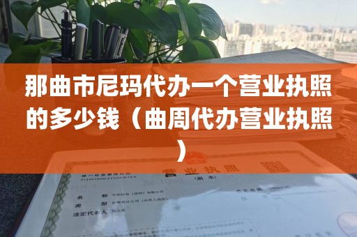 那曲市尼玛代办一个营业执照的多少钱（曲周代办营业执照）