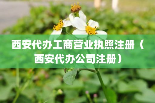 西安代办工商营业执照注册（西安代办公司注册）