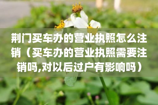 荆门买车办的营业执照怎么注销（买车办的营业执照需要注销吗,对以后过户有影响吗）