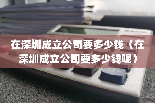 在深圳成立公司要多少钱（在深圳成立公司要多少钱呢）