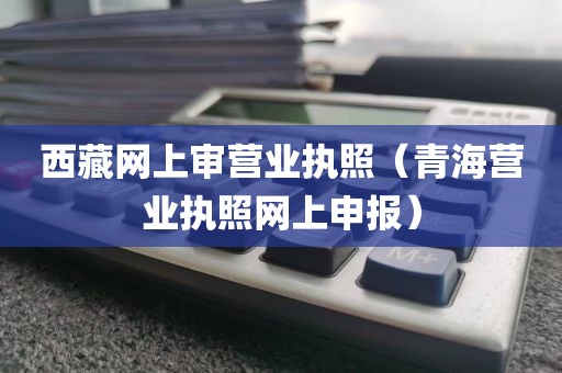 西藏网上审营业执照（青海营业执照网上申报）