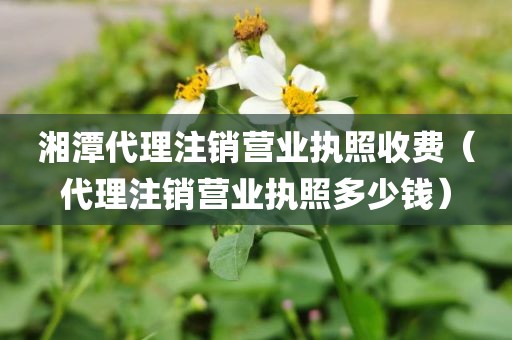 湘潭代理注销营业执照收费（代理注销营业执照多少钱）