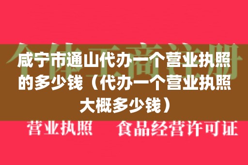咸宁市通山代办一个营业执照的多少钱（代办一个营业执照大概多少钱）
