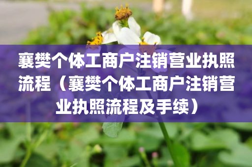 襄樊个体工商户注销营业执照流程（襄樊个体工商户注销营业执照流程及手续）