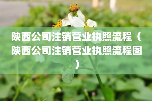 陕西公司注销营业执照流程（陕西公司注销营业执照流程图）