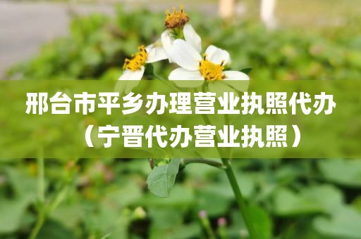 邢台市平乡办理营业执照代办（宁晋代办营业执照）